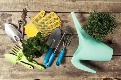 Tree felling work planned in a Sidcup residential garden