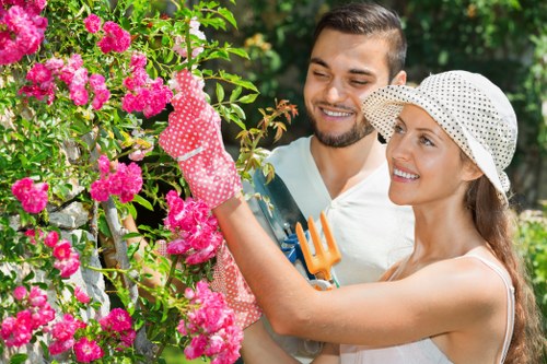 Tree surgeons in Sidcup carrying out professional arboricultural care