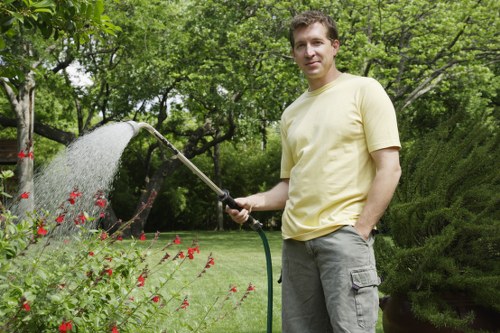 Inclusive Tree Surgeons Sidcup webpage designed for accessible browsing