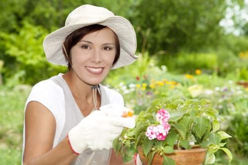 Senior review of a tree surgery complaint case