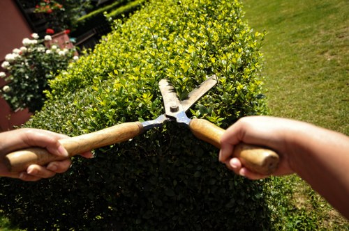 Charity partnership receiving reusable timber and woodchip