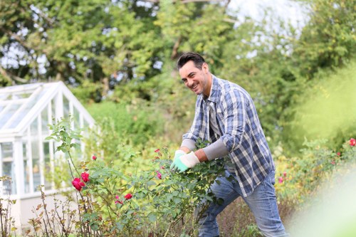 Free no-obligation quote process for tree surgery in Sidcup