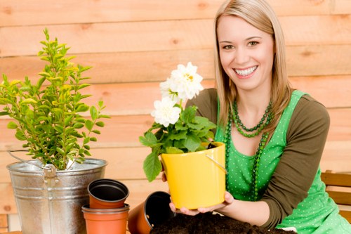 Common tree surgery jobs in Sidcup gardens and properties