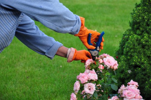 Local Sidcup tree surgery team working around a residential boundary tree