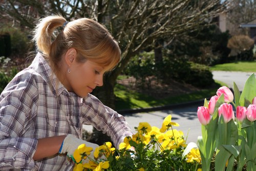 Careful pruning to reduce a tree crown while preserving its natural shape